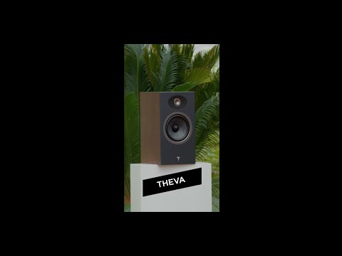 Focal Theva Surround