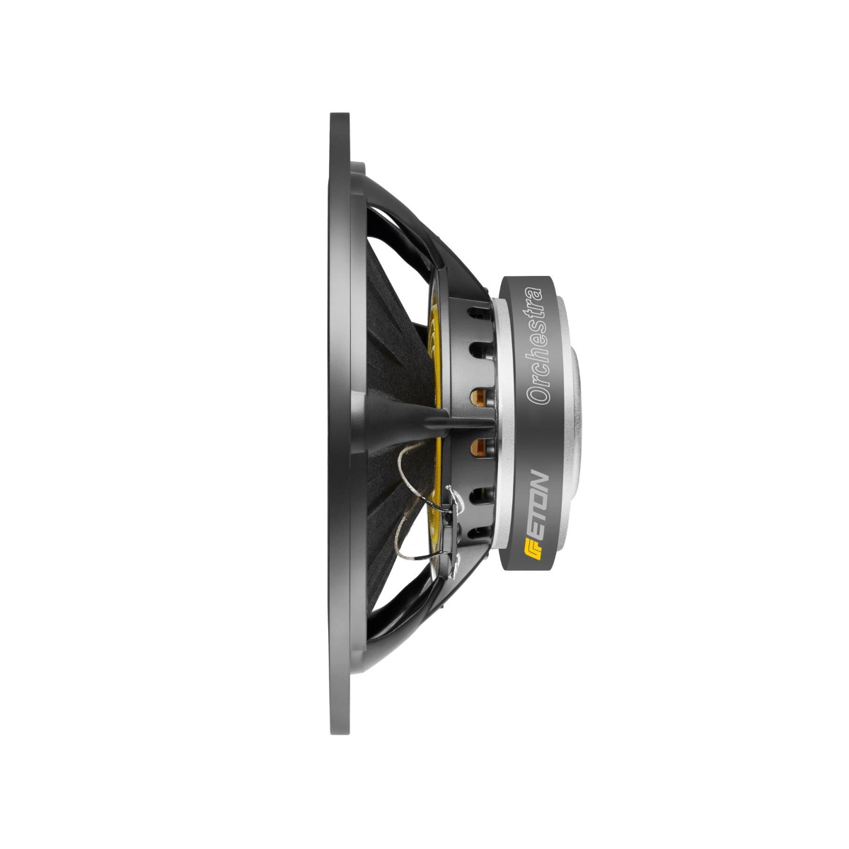 Eton 11-612/C8/50 RP Orchestra speaker (280 mm).