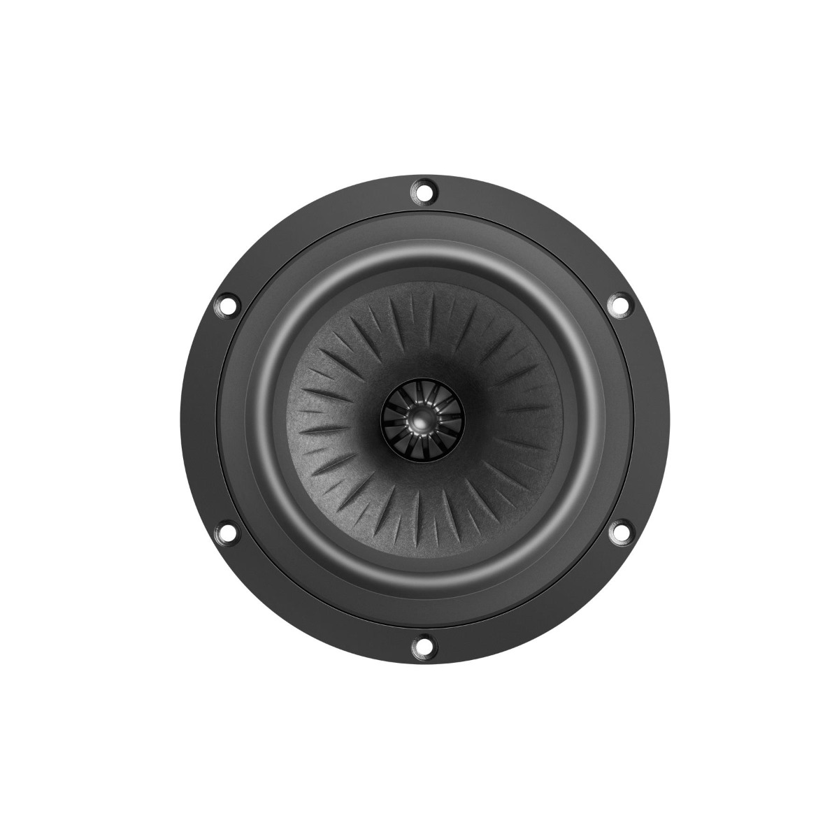 Eton 5-512/C8/25 RP Orchestra speaker (148 mm).