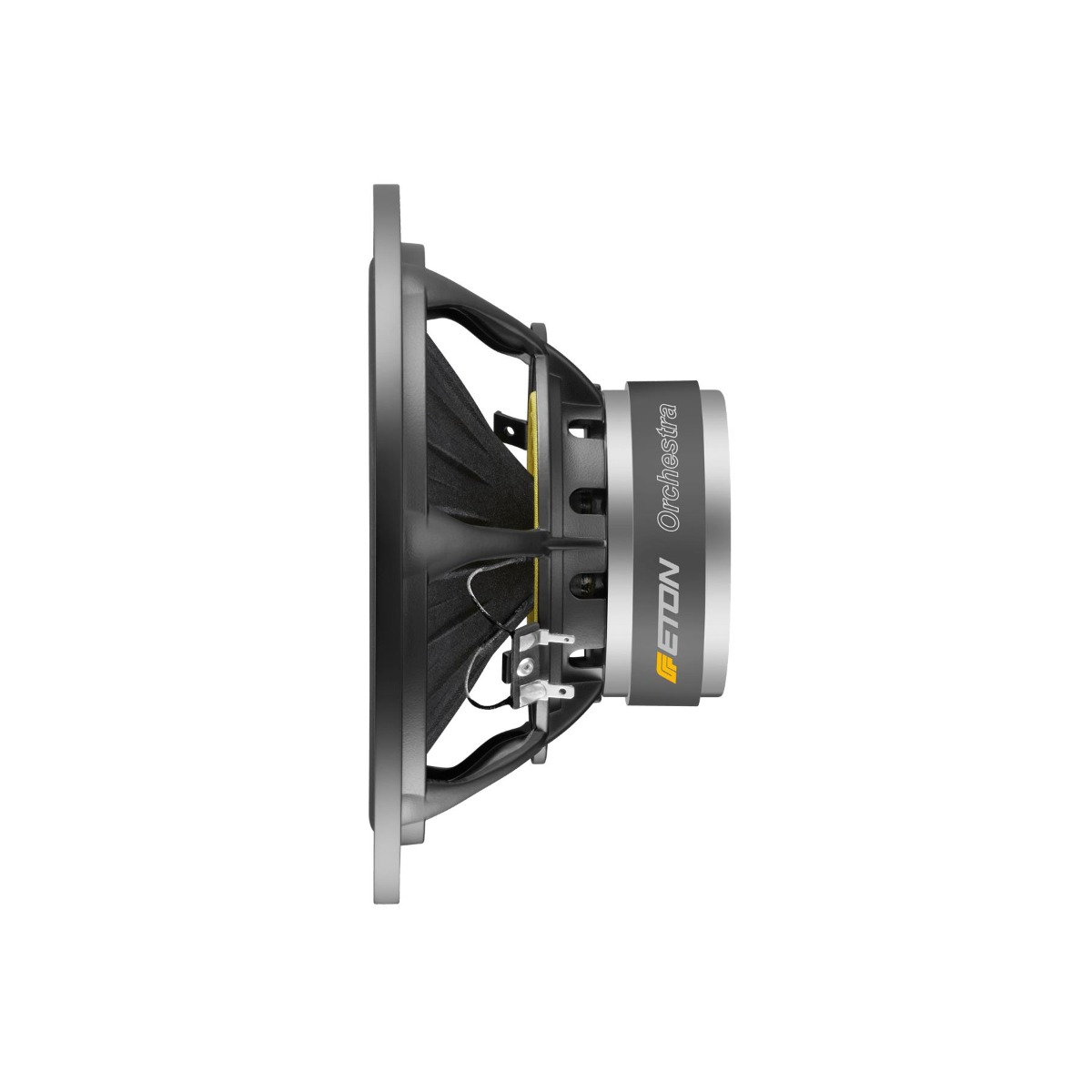 Eton 8-612/C8/32 RP Orchestra speaker (223 mm)